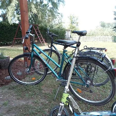 Napsugár50 * Fonyód